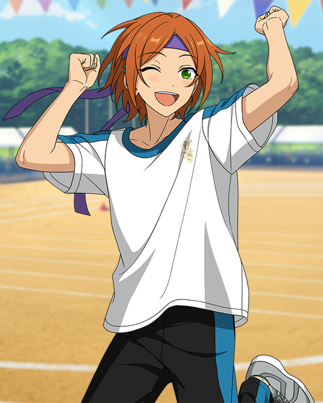 Advantageous Sports Festival