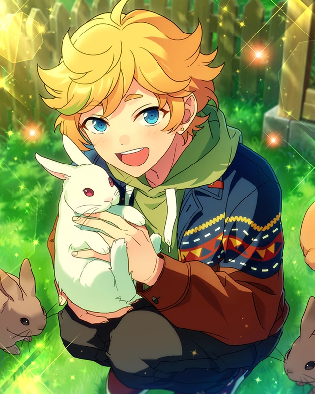 Sora